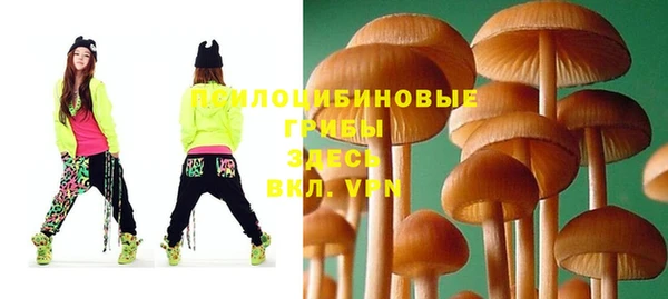 крисы Гусь-Хрустальный