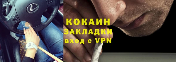крисы Гусь-Хрустальный