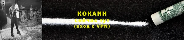 крисы Гусь-Хрустальный