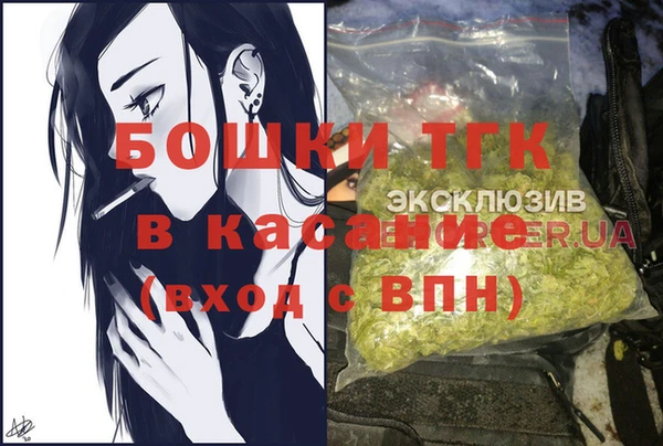 spice Гусиноозёрск