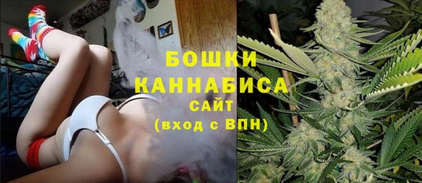 крисы Гусь-Хрустальный