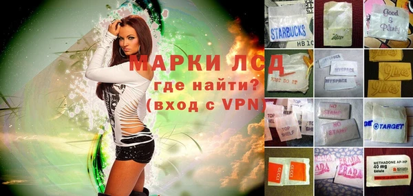 таблы Гусев