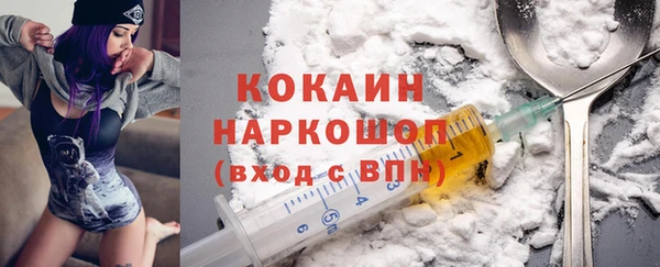 таблы Гусев