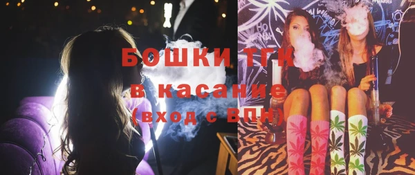 таблы Гусев