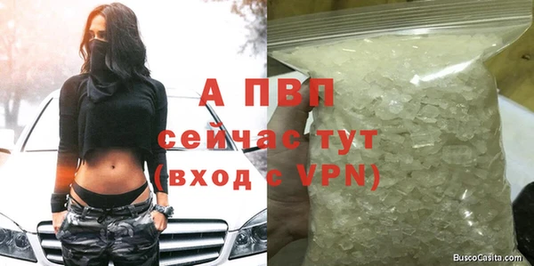 крисы Гусь-Хрустальный