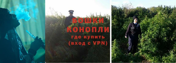 таблы Гусев