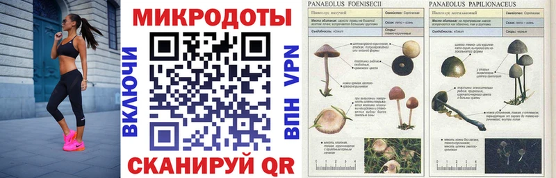 Галлюциногенные грибы GOLDEN TEACHER  Купить  Почеп 